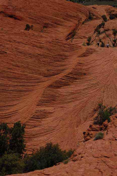 Petrified Dunes, Snow Canyon SP, Utah